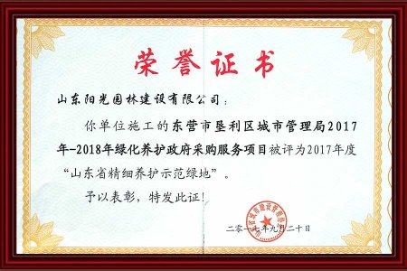 2-榮譽證書(shū)  2017 年(nián) 9月(yuè)