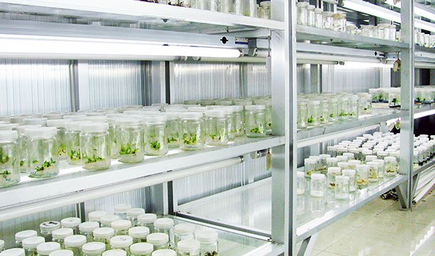 技(jì)術(shù)研發