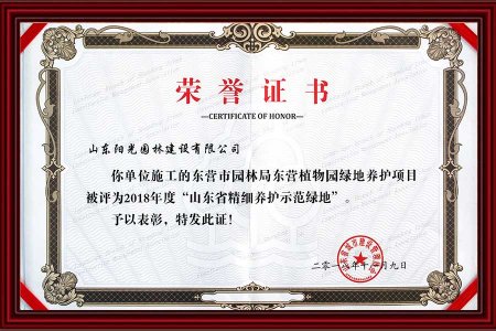 11-榮譽證書(shū)