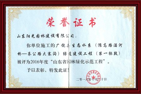 5-榮譽證書(shū)  2016 年(nián) 10月(yuè)
